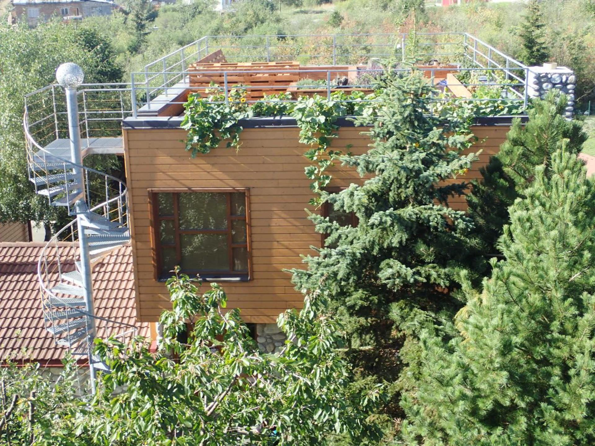 Family House - Apartmany Zuzana Stará Lesná エクステリア 写真